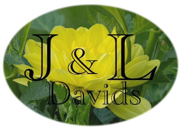 JEDavids